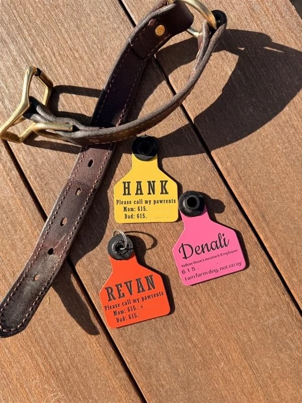 Custom Dog Tags