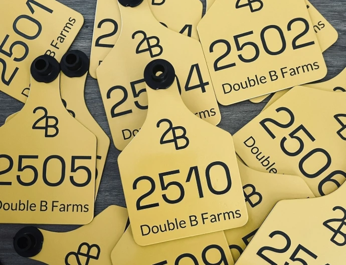 Engraved Ritchey Cattle Tag