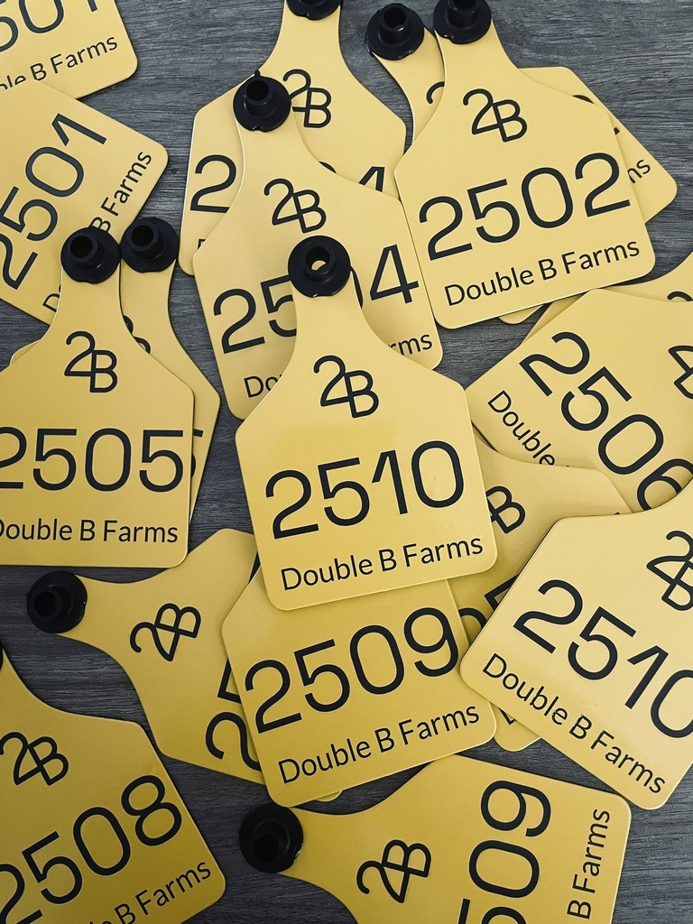 Engraved Ritchey Cattle Tags - Large (Yellow/Black)